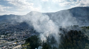 Incêndio florestal provoca alerta em colina turística de Quito