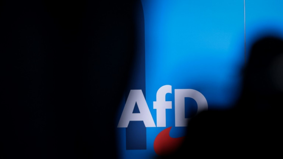 Verfassungsschützer Kramer: AfD-Plan für Jugendorganisation "Ablenkungsmanöver"