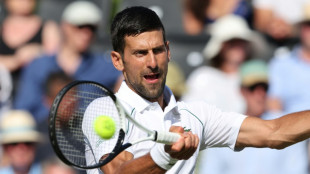 Djokovic brings curtain up on Wimbledon 