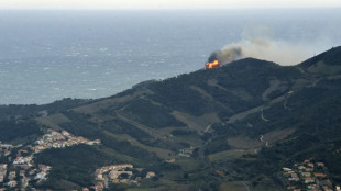 Erster großer Waldbrand des Jahres in Frankreich zerstört etwa 1000 Hektar