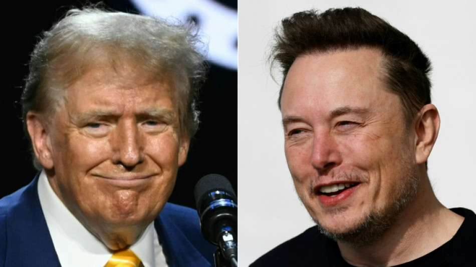 L'interview de Donald Trump par Elon Musk commence après une "cyberattaque"