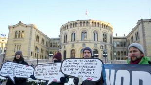 Norwegens Palament gibt grünes Licht für Tiefseebergbau-Pläne