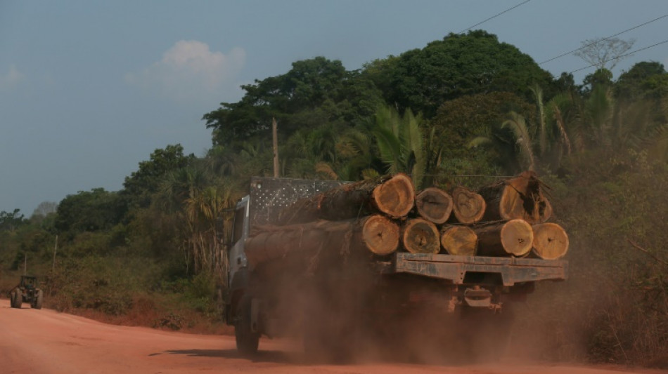 Deforestación en Amazonía brasileña registra récord para septiembre