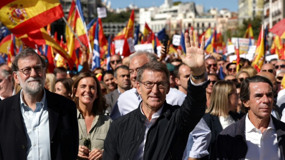 Miles de personas apoyan en Madrid al líder de la derecha antes de la investidura