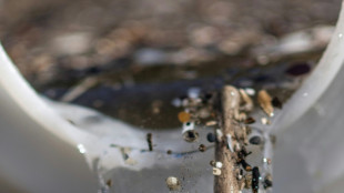 How harmful are microplastics to human health?