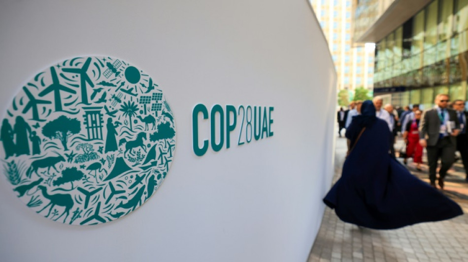 A la COP28, suspense autour du blocage de l'Arabie saoudite et de ses alliés