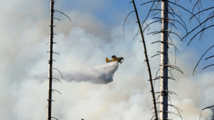 Weiterhin Glutnester nach Waldbrand am Brocken