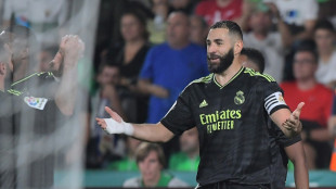 Espagne: le Ballon d'Or Benzema porte le Real à Elche