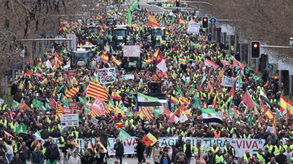 Los agricultores españoles vuelven a protestar con sus tractores en el centro de Madrid 