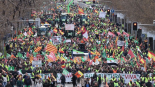 Los agricultores españoles vuelven a protestar con sus tractores en el centro de Madrid 