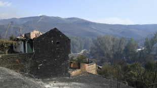 Los bomberos combaten un incendio forestal en Galicia