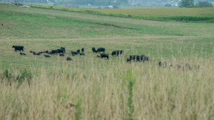 Les prix de la viande rouge s'envolent aux Etats-Unis, en manque de boeufs