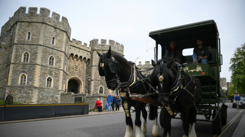 Windsor effervescente à un mois des festivités du jubilé d'Elizabeth II