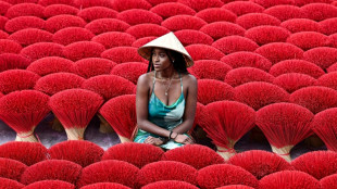 Au Vietnam, quand le "village de l'encens" se fait instagrammable