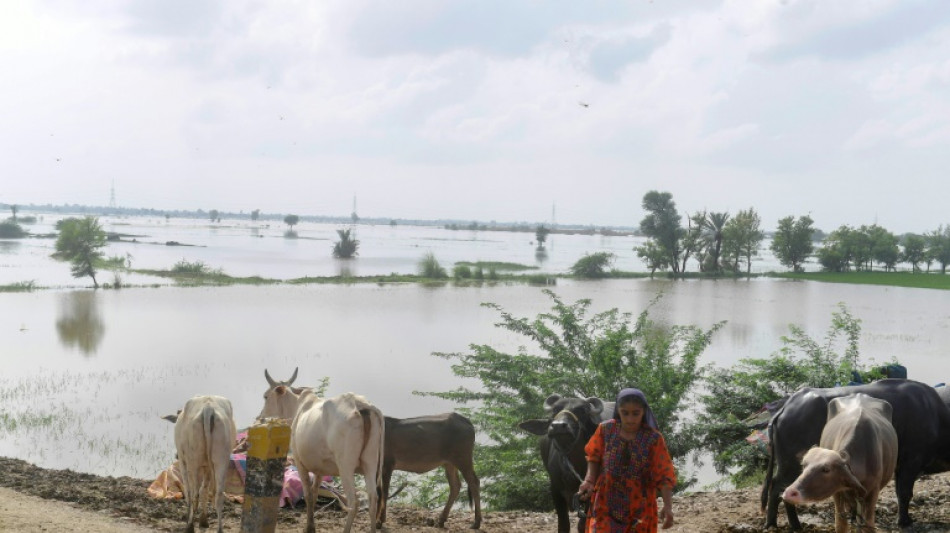 L'alimentation, aussi, sous la menace des désastres climatiques 