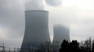 La AIE prevé un récord de producción de electricidad nuclear en 2025