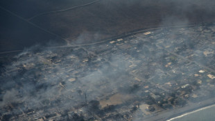 Hawaii fire death toll expected to rise 'very significantly': governor