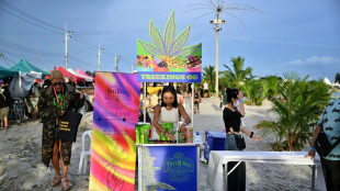 Thaïlande: les pro-cannabis célèbrent la dépénalisation de la culture et de la vente