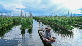 Birmanie: réservoir de biodiversité, le lac Inle envahi par les potagers flottants