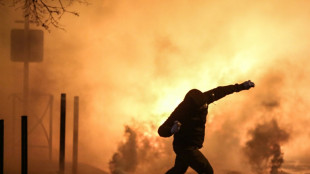 Riots in Corsica over jailed nationalist leave dozens injured