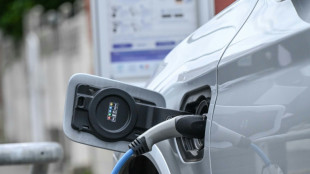 Bornes électriques: une rallonge de 200 millions d'euros pour accélérer le déploiement, annonce Beaune