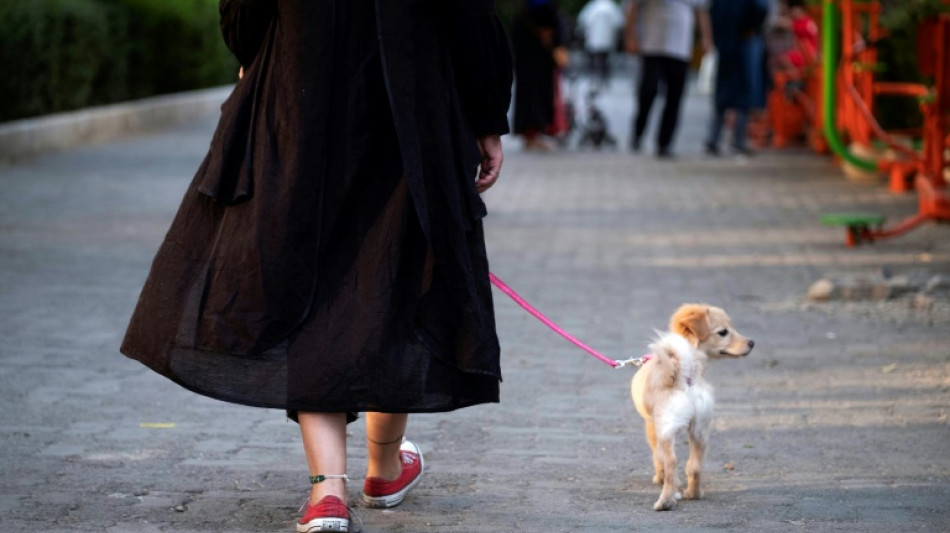 Nach Wohnungsverkauf an Hund nimmt Polizei im Iran Chef von Immobilienfirma fest