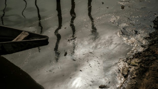 Cleanup of oil-polluted Nigerian state would cost $12 bn: report