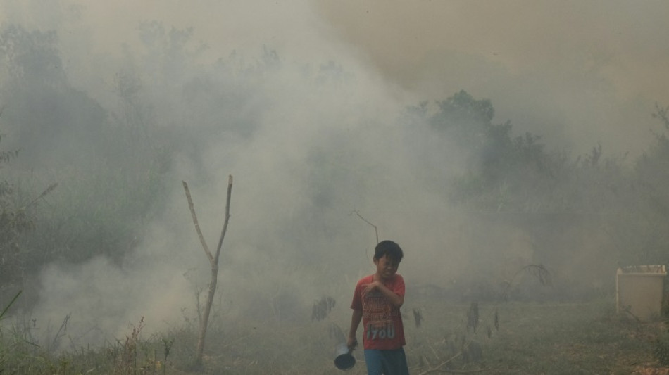 La Malaisie accuse des incendies indonésiens de nuire à la qualité de l'air