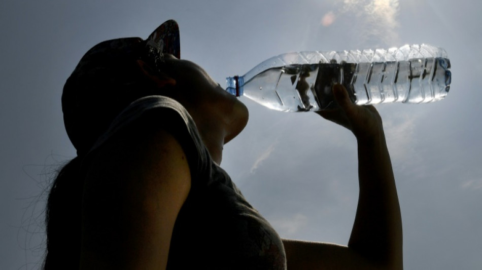 Canicule: les organismes mis à l'épreuve, des précautions à prendre