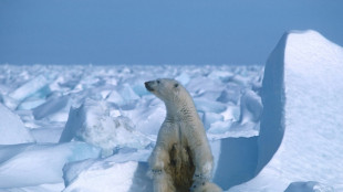 Biden limite l'exploitation pétrolière dans d'immenses zones en Alaska