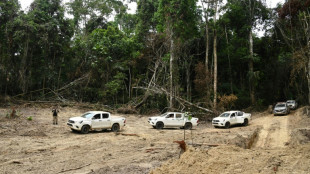 Brasilianische Regierung reagiert kaum auf Meldungen illegaler Abholzung