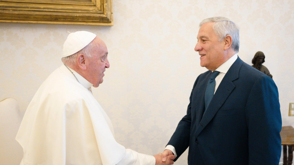 Tajani vede il Papa, 'governo impegnato per la pace'