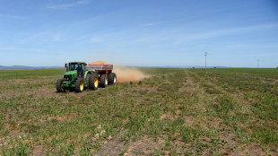 Erzeugerpreise für landwirtschaftliche Produkte steigen im Jahresvergleich