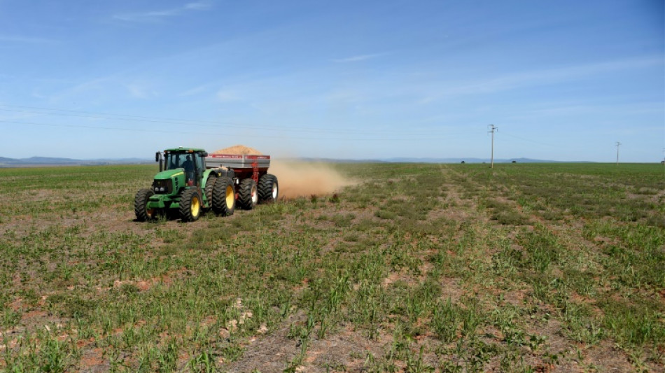 Erzeugerpreise für landwirtschaftliche Produkte im November leicht gesunken