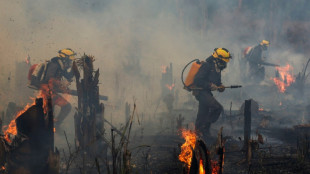 Brésil: plus d'incendies en Amazonie depuis janvier que sur toute l'année 2021 