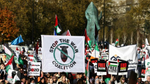 Unos 300.000 participantes en marcha propalestina en Londres