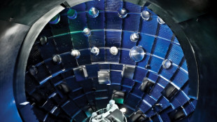 Nuclear fusion: harnessing the power of the stars