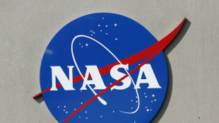 Compie 65 anni il logo della Nasa, chiamato 'polpetta'