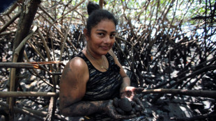 Au Nicaragua, des ramasseuses de coquillages, protectrices de la mangrove