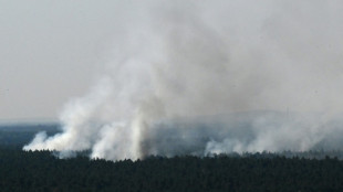 Großbrand im Berliner Grunewald breitet sich Richtung Südwesten aus