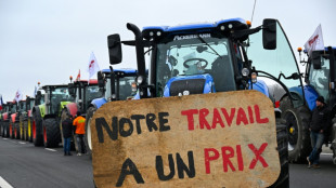 Los agricultores europeos mantienen sus bloqueos en Francia y extienden sus protestas a España