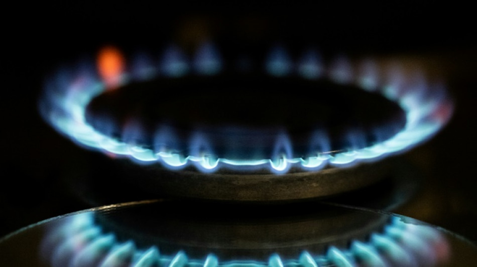 La consommation de gaz en France a baissé de 6,2% en 2022