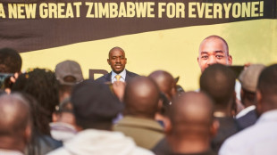 El jefe de la oposición en Zimbabue reivindica su victoria en la elección presidencial