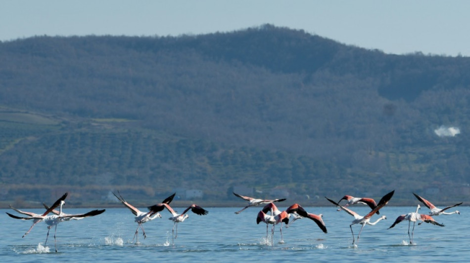 En Albanie, le changement climatique rogne les ailes des oiseaux