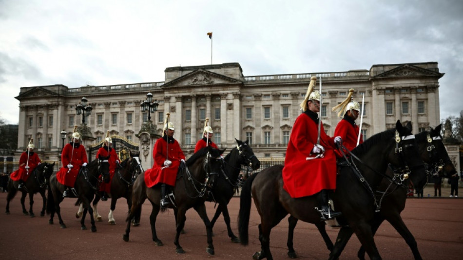 Durchgegangene Armee-Pferde verletzen vier Menschen im Zentrum von London