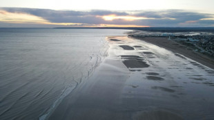 En Normandie, la montée des eaux menace les vestiges du Débarquement