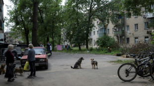 Situación "tensa" en la ciudad ucraniana de Avdivka, que los rusos intentan rodear