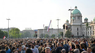 Erneuter Massenprotest gegen Waffengewalt in Belgrad