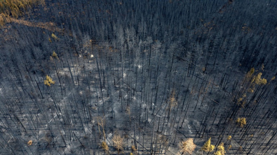 Los incendios forestales de Canadá no tienen precedentes en cifras