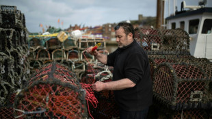 En Angleterre, une écloserie pour préserver l'avenir des homards et des pêcheurs